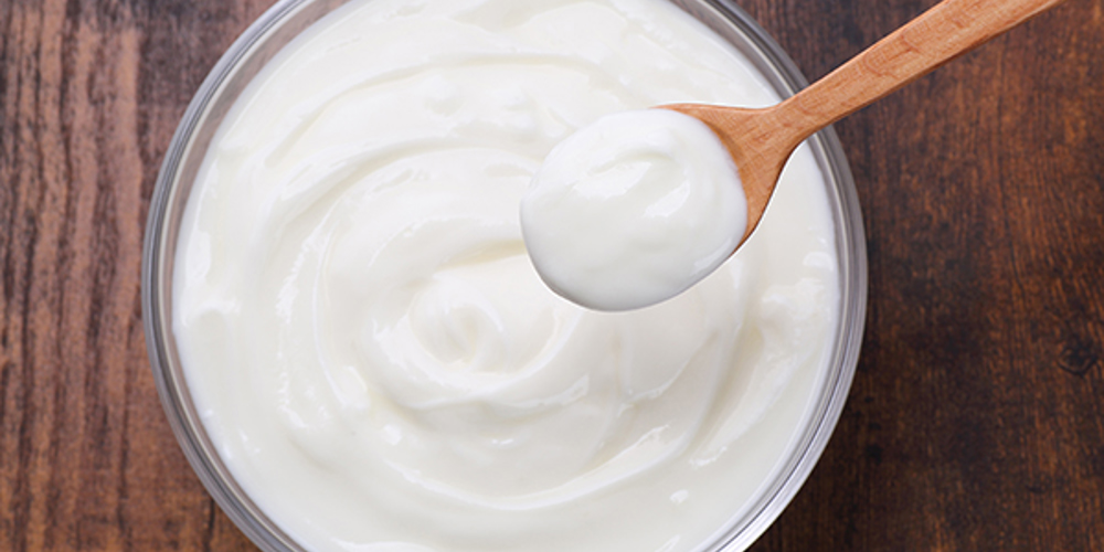 Yogurt Recipe